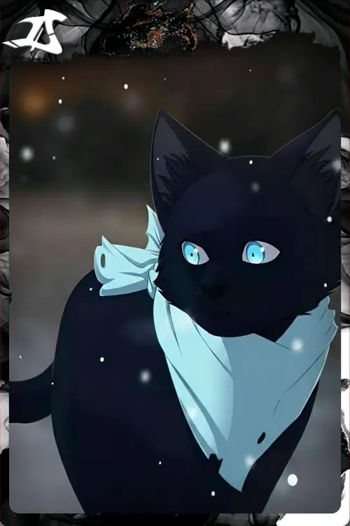 Кот Ято